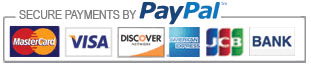 Paypal icon