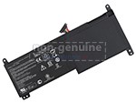 Batterie Asus C21N1313