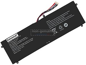 Batterie Jumper NV-4774126-2s