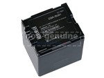 batterie Panasonic SDR-H250EG-S