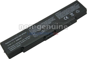 Batterie de remplacement Sony VAIO VGN-FJ180P/W